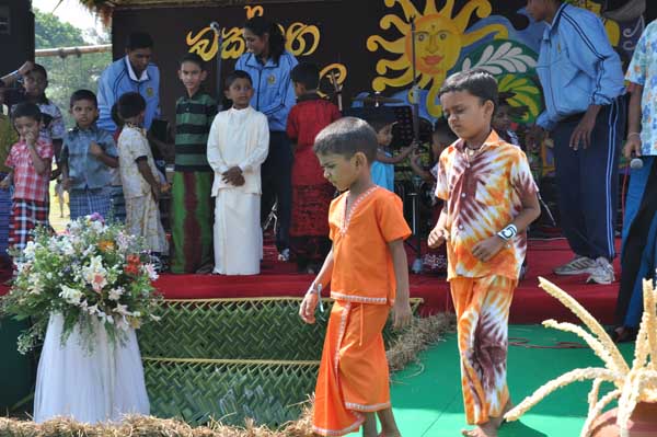 Avurudu comes to SLAF Colombo!