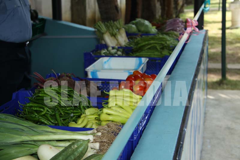 නවතම එලවළු හා පලතුරු වෙළඳසැලක් ගුවන් පුරින් විවෘතවේ