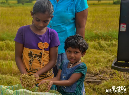 SLAF STATION MORAWEWA CONDUCTS PADDY HARVESTING PROGRAMME FOR LOW INCOME FARMERS AT KANUGAHAWEWA AREA