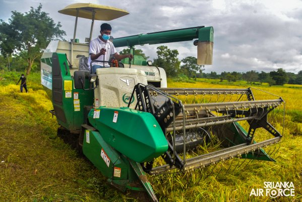 SLAF STATION MORAWEWA CONDUCTS PADDY HARVESTING PROGRAMME FOR LOW INCOME FARMERS AT KANUGAHAWEWA AREA