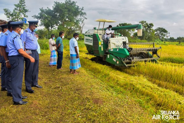 SLAF STATION MORAWEWA CONDUCTS PADDY HARVESTING PROGRAMME FOR LOW INCOME FARMERS AT KANUGAHAWEWA AREA