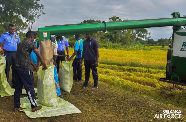 SLAF STATION MORAWEWA CONDUCTS PADDY HARVESTING PROGRAMME FOR LOW INCOME FARMERS AT KANUGAHAWEWA AREA