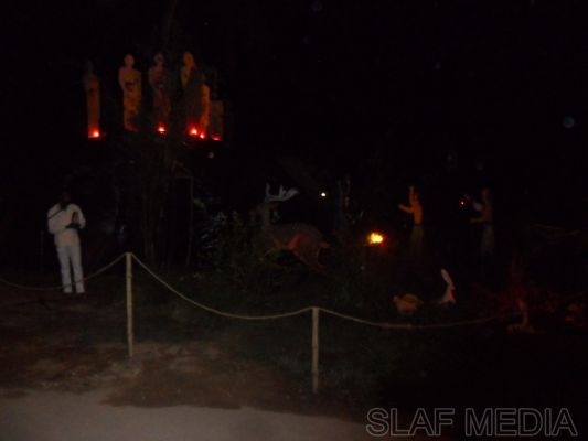 SLAF Poson Poya Celebrations