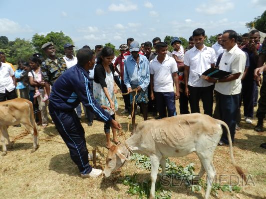 SLAF Poson Poya Celebrations