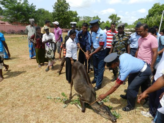 SLAF Poson Poya Celebrations