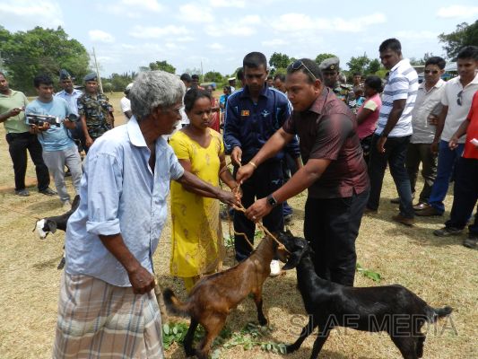 SLAF Poson Poya Celebrations
