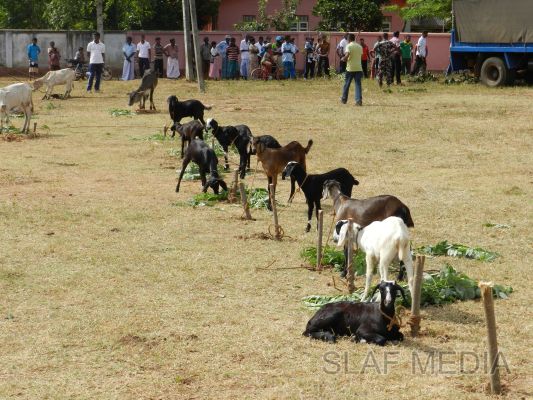SLAF Poson Poya Celebrations
