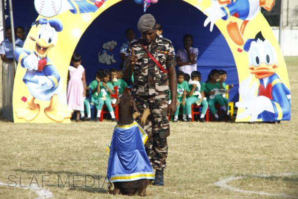 The Annual Sports Meet of International Pre School - Guwanpura