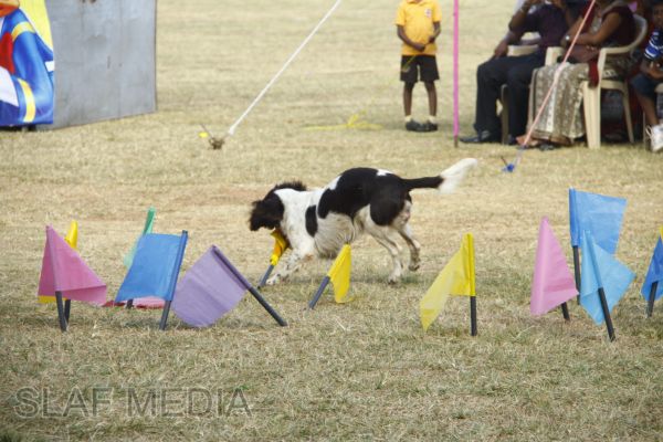 The Annual Sports Meet of International Pre School - Guwanpura