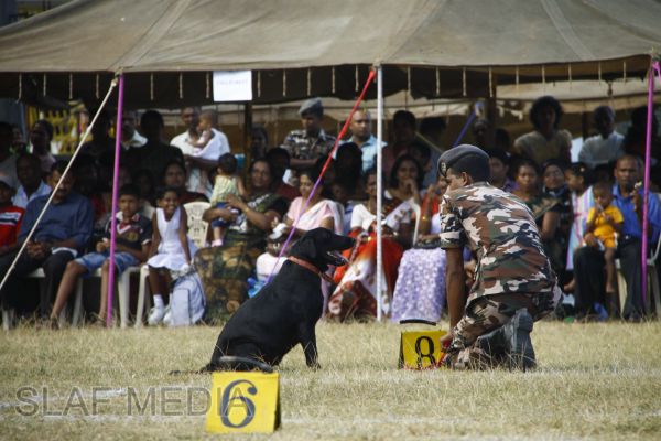 The Annual Sports Meet of International Pre School - Guwanpura