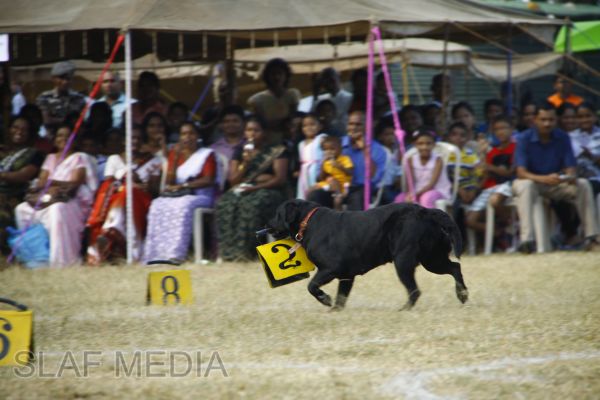 The Annual Sports Meet of International Pre School - Guwanpura