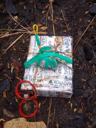 Recovery of Explosives by SLAF in Mirigama