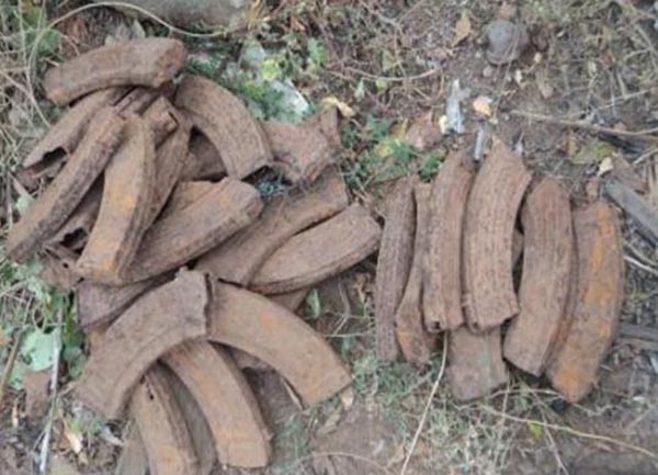 තන්නිවූත්තු ප්රදේශයෙන් 'මැගසින්' තොගයක් සොයා ගනී