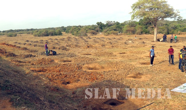 Reforestation Campaign in Mannar