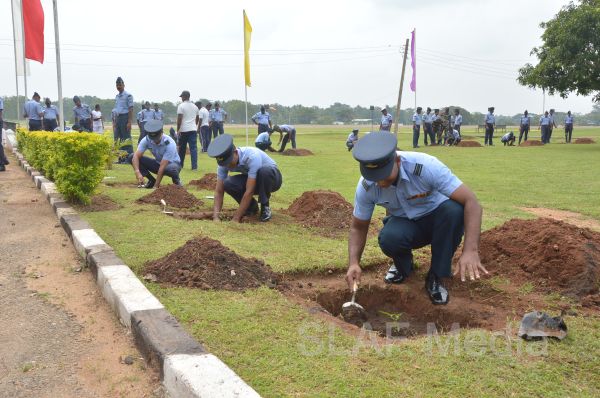 දැයට සෙවණ ජාතික රුක් රෝපණ වැඩසටහන
