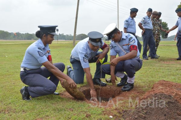 දැයට සෙවණ ජාතික රුක් රෝපණ වැඩසටහන