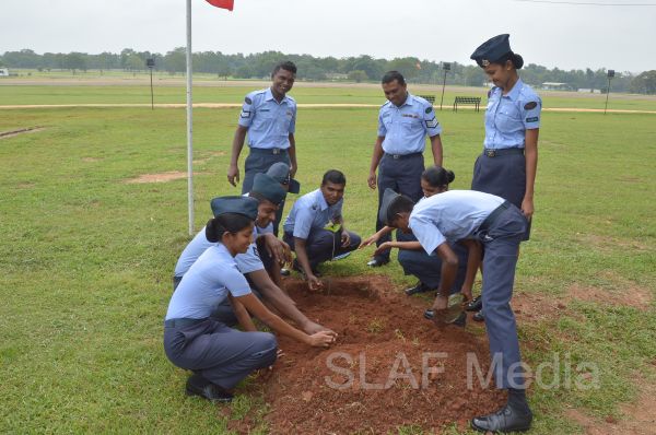දැයට සෙවණ ජාතික රුක් රෝපණ වැඩසටහන