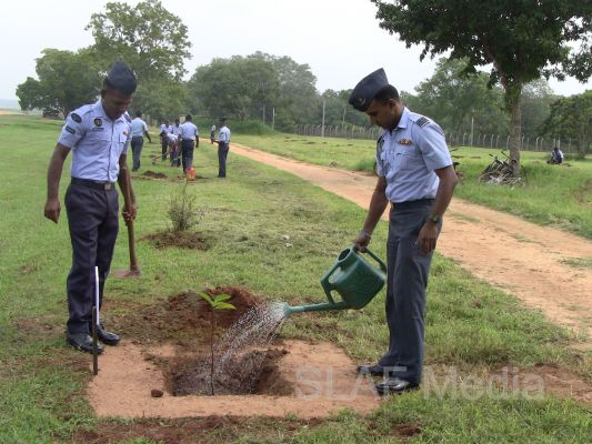 දැයට සෙවණ ජාතික රුක් රෝපණ වැඩසටහන
