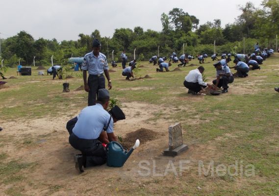 දැයට සෙවණ ජාතික රුක් රෝපණ වැඩසටහන