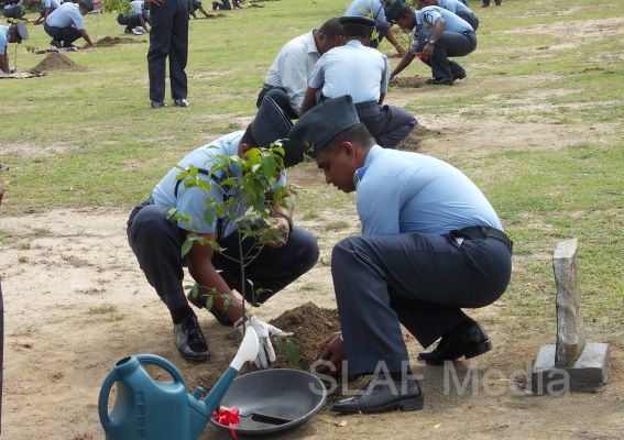 දැයට සෙවණ ජාතික රුක් රෝපණ වැඩසටහන