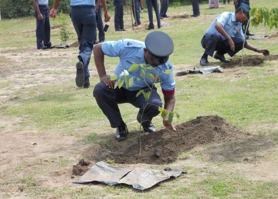 දැයට සෙවණ ජාතික රුක් රෝපණ වැඩසටහන
