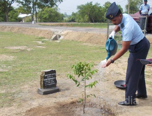 දැයට සෙවණ ජාතික රුක් රෝපණ වැඩසටහන