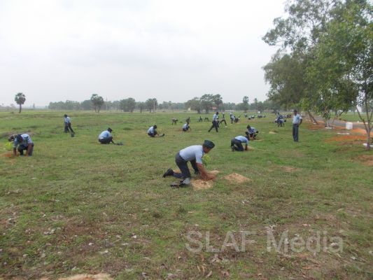 දැයට සෙවණ ජාතික රුක් රෝපණ වැඩසටහන