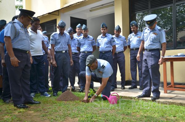 දැයට සෙවණ ජාතික රුක් රෝපණ වැඩසටහන
