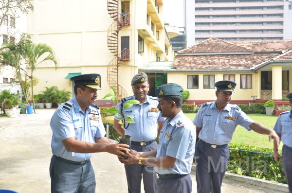 දැයට සෙවණ ජාතික රුක් රෝපණ වැඩසටහන