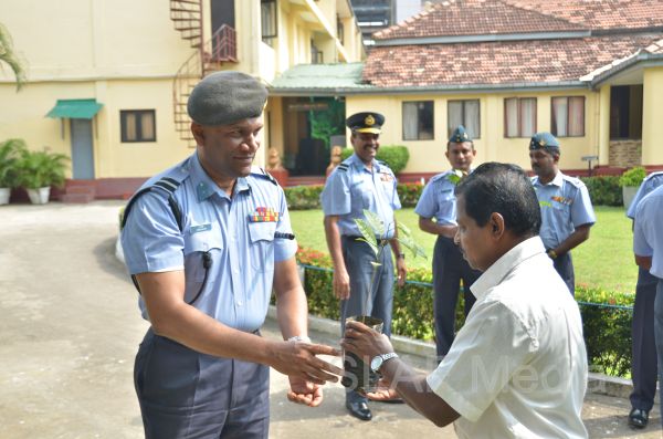 දැයට සෙවණ ජාතික රුක් රෝපණ වැඩසටහන
