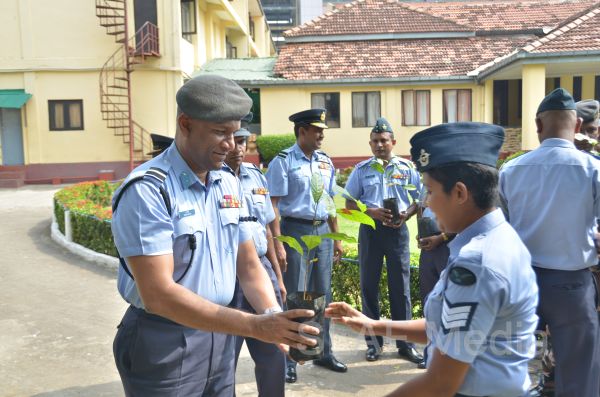 දැයට සෙවණ ජාතික රුක් රෝපණ වැඩසටහන