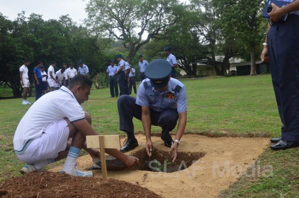 දැයට සෙවණ ජාතික රුක් රෝපණ වැඩසටහන