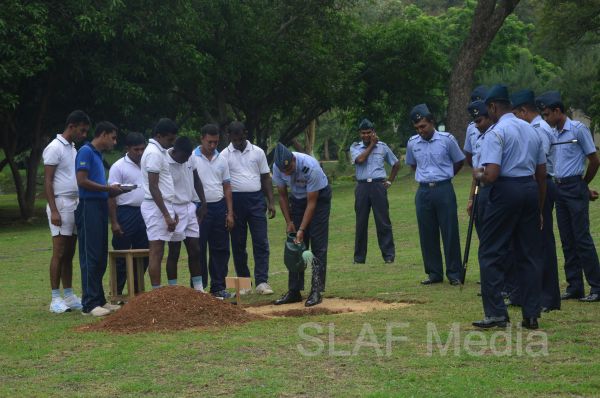 දැයට සෙවණ ජාතික රුක් රෝපණ වැඩසටහන