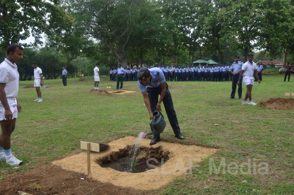 දැයට සෙවණ ජාතික රුක් රෝපණ වැඩසටහන