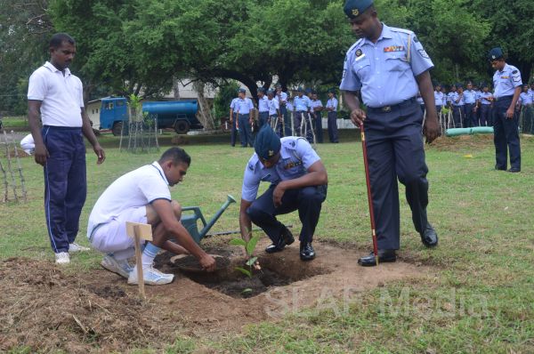 දැයට සෙවණ ජාතික රුක් රෝපණ වැඩසටහන