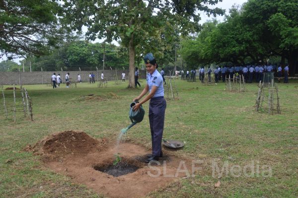 දැයට සෙවණ ජාතික රුක් රෝපණ වැඩසටහන