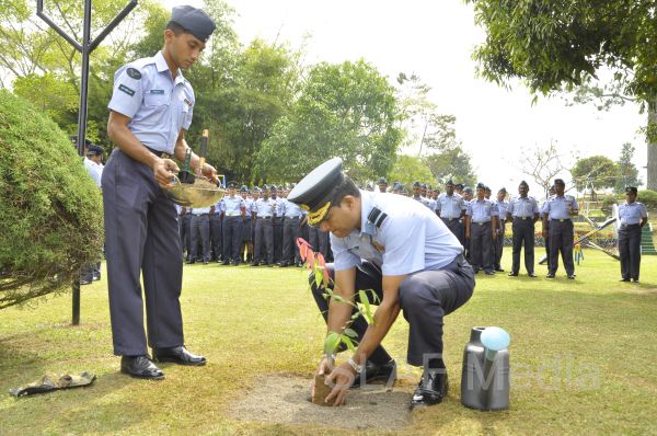 දැයට සෙවණ ජාතික රුක් රෝපණ වැඩසටහන