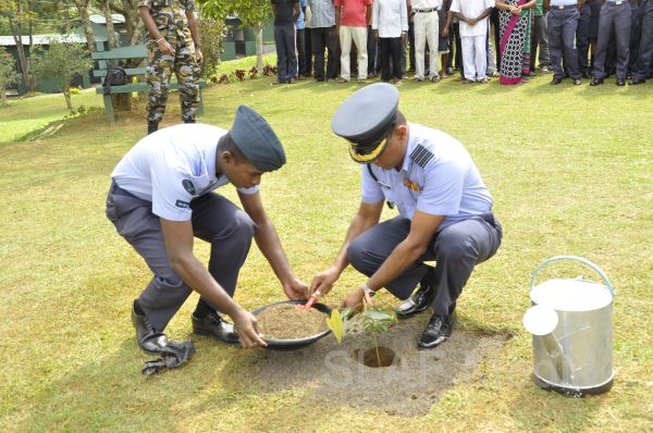 දැයට සෙවණ ජාතික රුක් රෝපණ වැඩසටහන