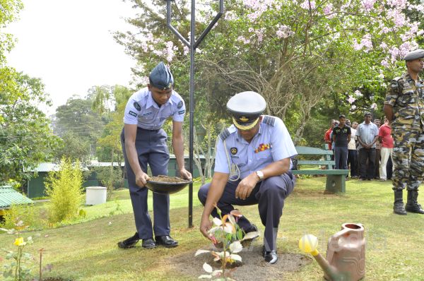 දැයට සෙවණ ජාතික රුක් රෝපණ වැඩසටහන