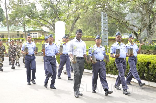 දැයට සෙවණ ජාතික රුක් රෝපණ වැඩසටහන