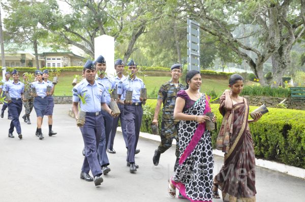 දැයට සෙවණ ජාතික රුක් රෝපණ වැඩසටහන