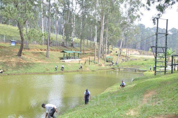 දැයට සෙවණ ජාතික රුක් රෝපණ වැඩසටහන