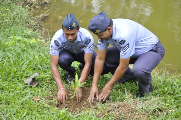 දැයට සෙවණ ජාතික රුක් රෝපණ වැඩසටහන
