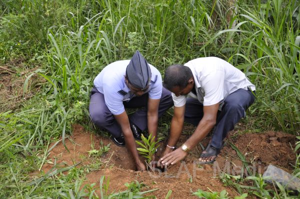 දැයට සෙවණ ජාතික රුක් රෝපණ වැඩසටහන