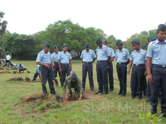 දැයට සෙවණ ජාතික රුක් රෝපණ වැඩසටහන