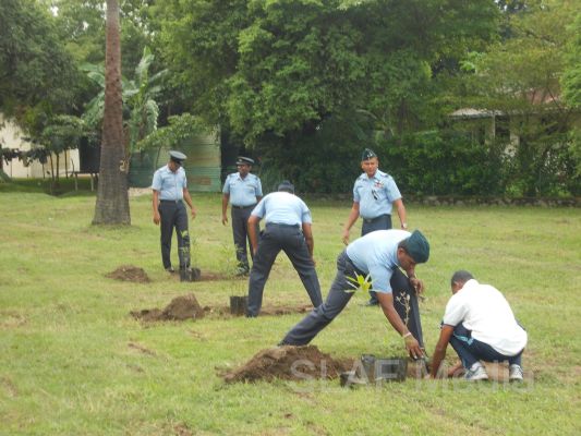 දැයට සෙවණ ජාතික රුක් රෝපණ වැඩසටහන