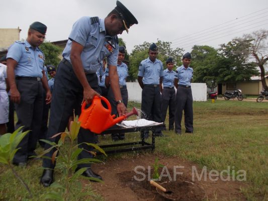 දැයට සෙවණ ජාතික රුක් රෝපණ වැඩසටහන