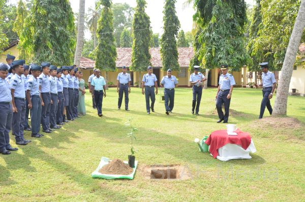 දැයට සෙවණ ජාතික රුක් රෝපණ වැඩසටහන