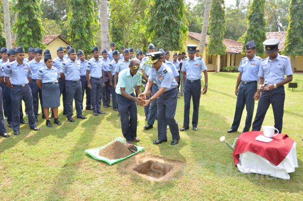 දැයට සෙවණ ජාතික රුක් රෝපණ වැඩසටහන