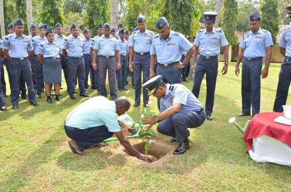 දැයට සෙවණ ජාතික රුක් රෝපණ වැඩසටහන
